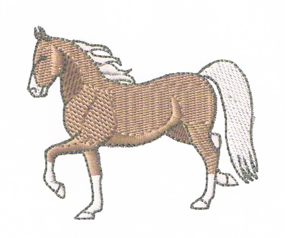 sandra/horse1.jpg